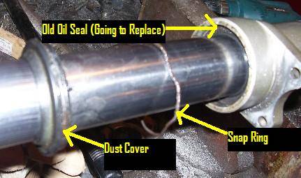 fork_seal_photo17.jpg fork_seal_photo17.jpg