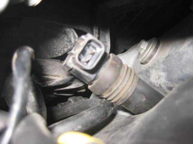c-o-p-6.jpg c-o-p-6.jpg