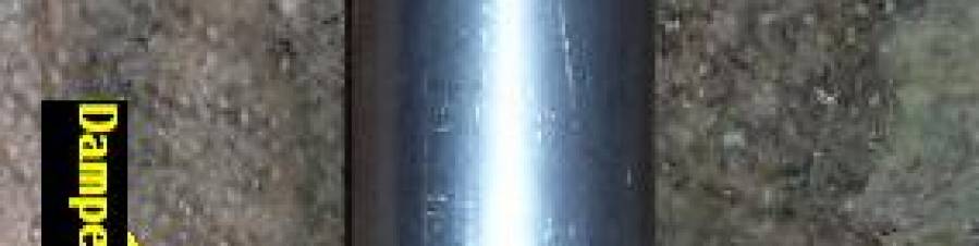 fork_seal_photo21.jpg fork_seal_photo21.jpg