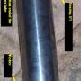 fork_seal_photo22.jpg