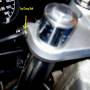 fork_seal_photo7.jpg