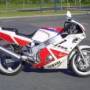 91_600_white.jpg